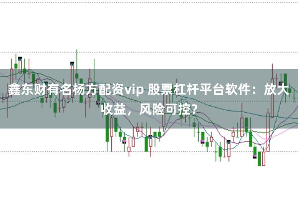 鑫东财有名杨方配资vip 股票杠杆平台软件：放大收益，风险可控？