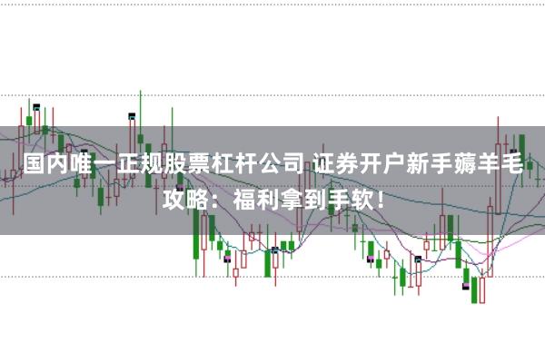 国内唯一正规股票杠杆公司 证券开户新手薅羊毛攻略:福利拿到手软!