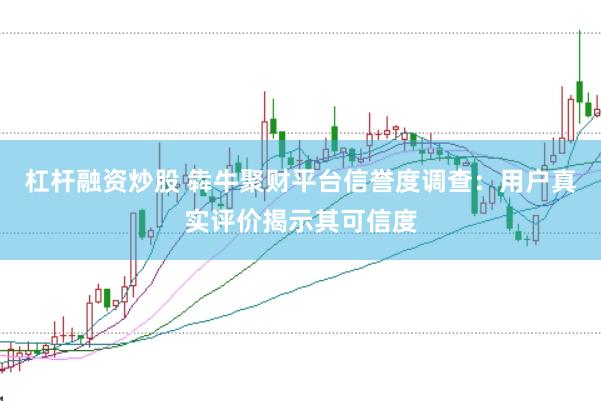 杠杆融资炒股 犇牛聚财平台信誉度调查：用户真实评价揭示其可信度