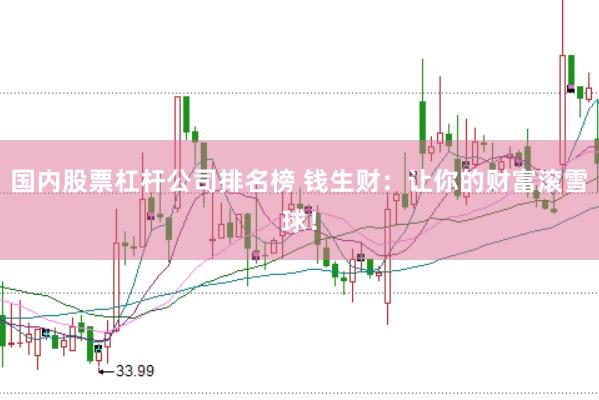 国内股票杠杆公司排名榜 钱生财:让你的财富滚雪球!