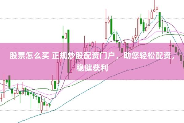 股票怎么买 正规炒股配资门户，助您轻松配资，稳健获利