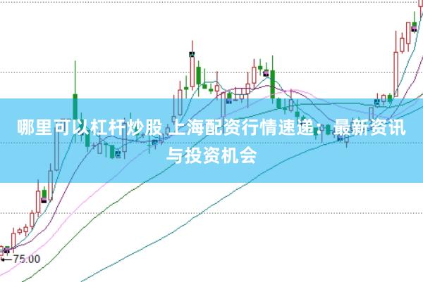 哪里可以杠杆炒股 上海配资行情速递：最新资讯与投资机会