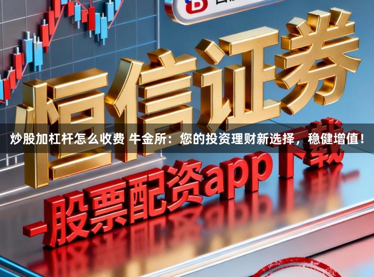 炒股加杠杆怎么收费 牛金所：您的投资理财新选择，稳健增值！