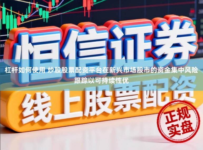 杠杆如何使用 炒股股票配资平台在新兴市场股市的资金集中风险跟踪以可持续性优
