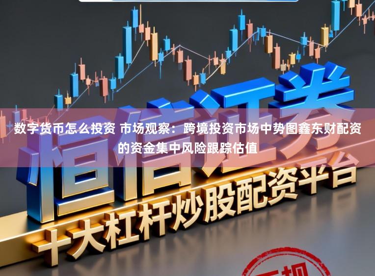 数字货币怎么投资 市场观察：跨境投资市场中势图鑫东财配资的资金集中风险跟踪估值